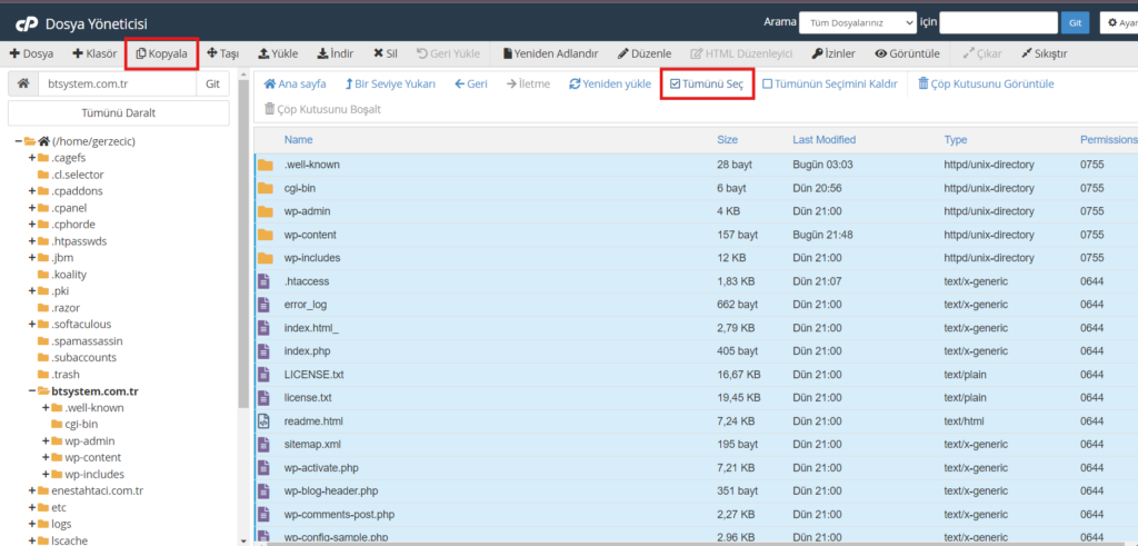 7-1024x491 WORDPRESS DOMAİN DEĞİŞTİRME